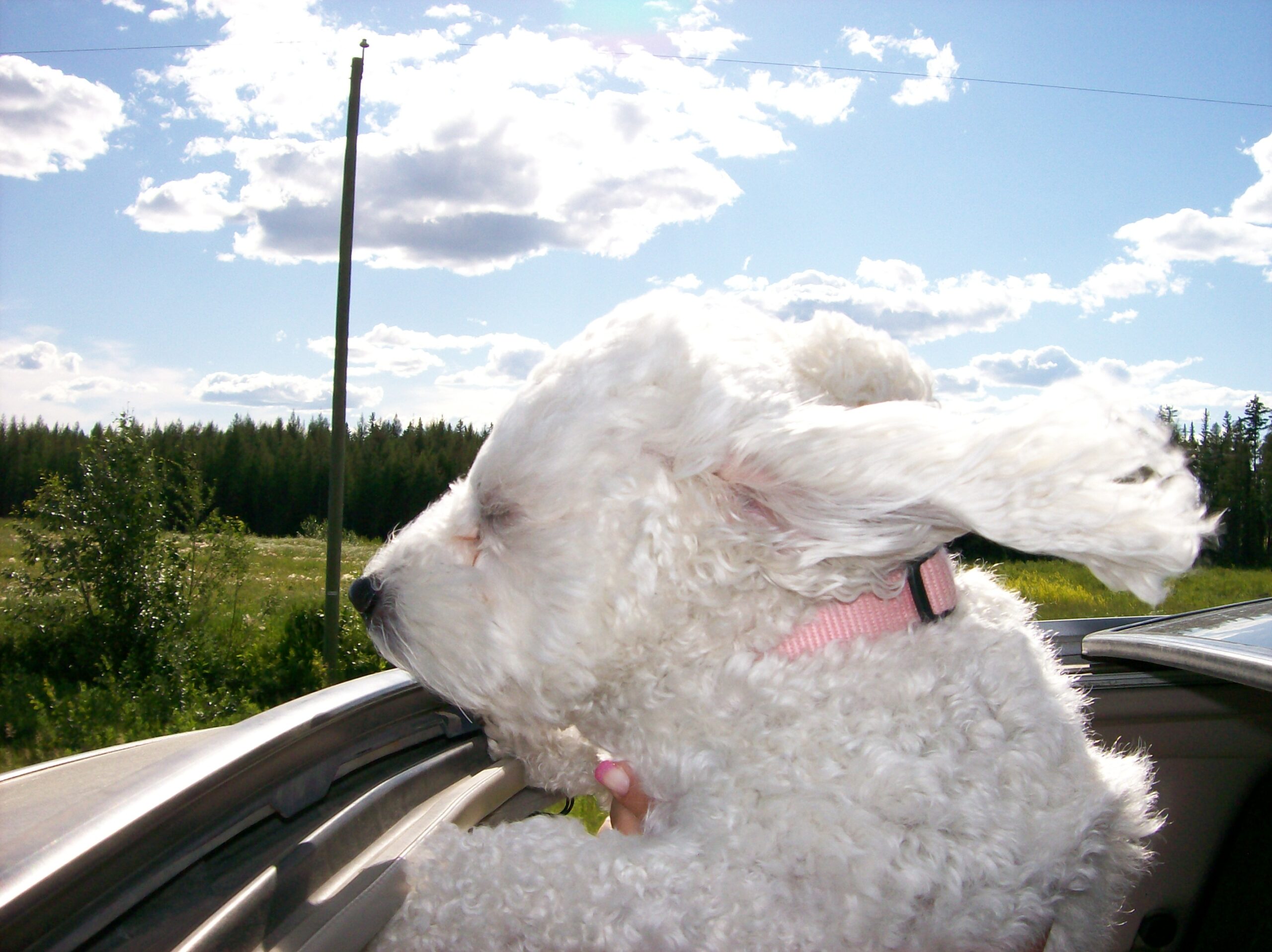 Main Gallery Display