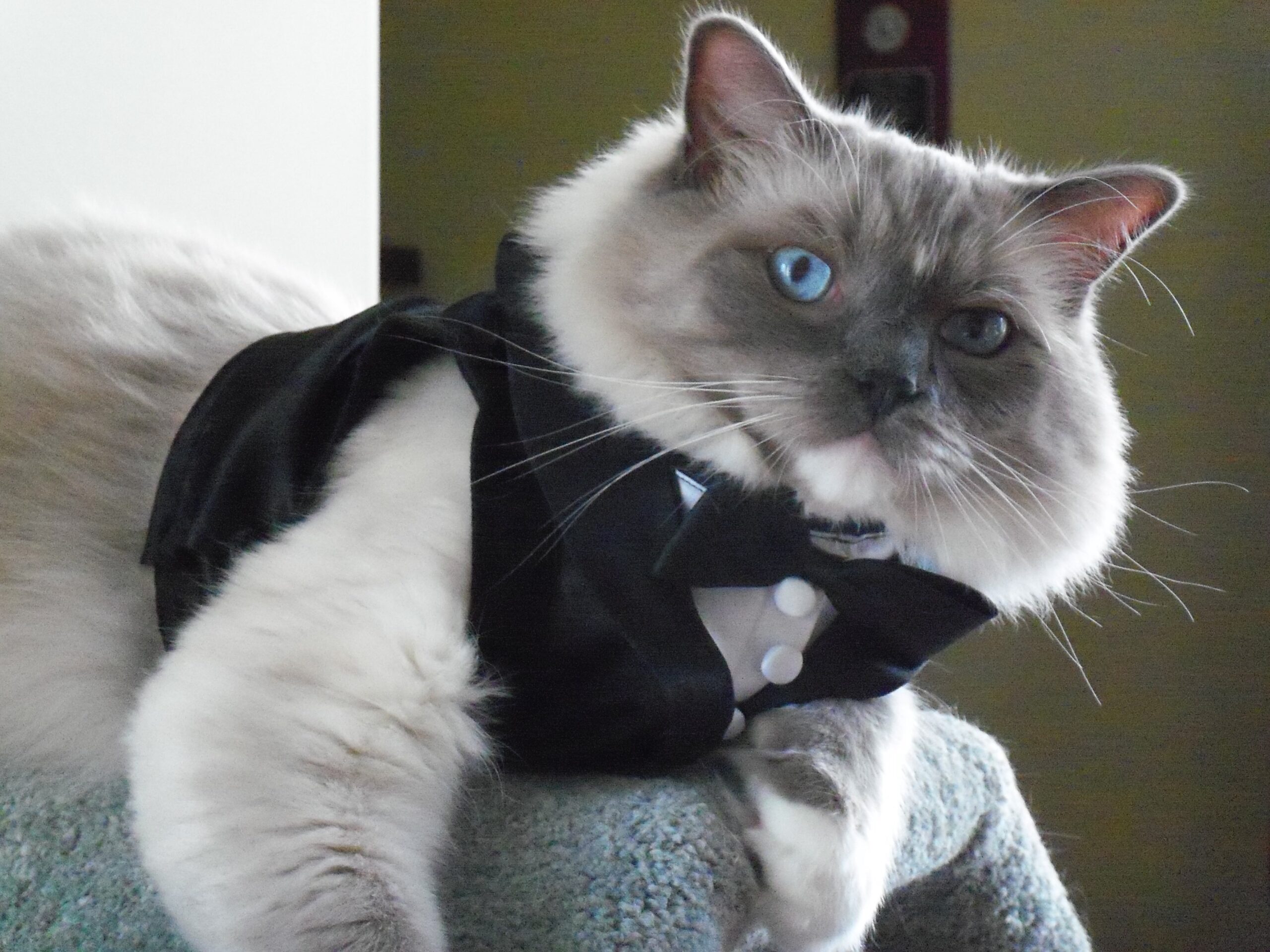 Main Gallery Display