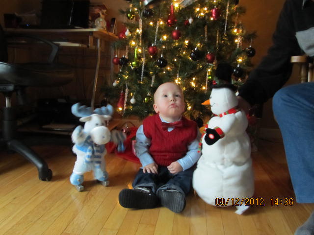 Main Gallery Display