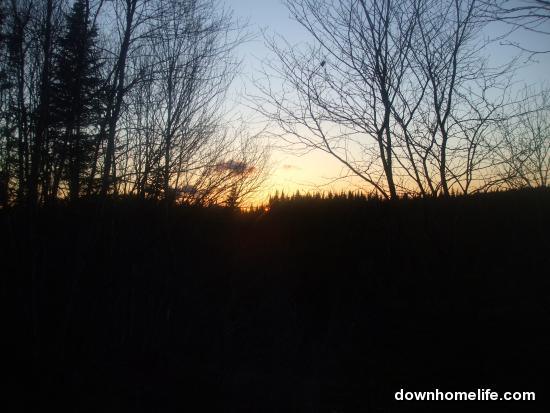 Main Gallery Display