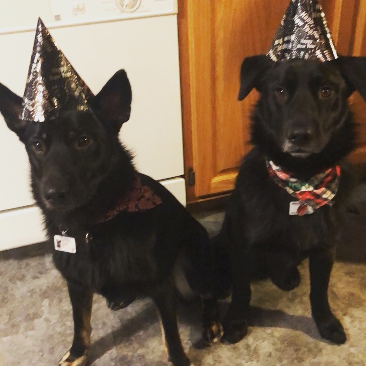 Main Gallery Display