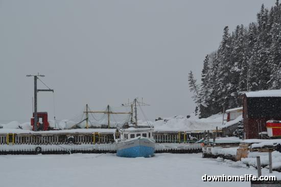 Main Gallery Display