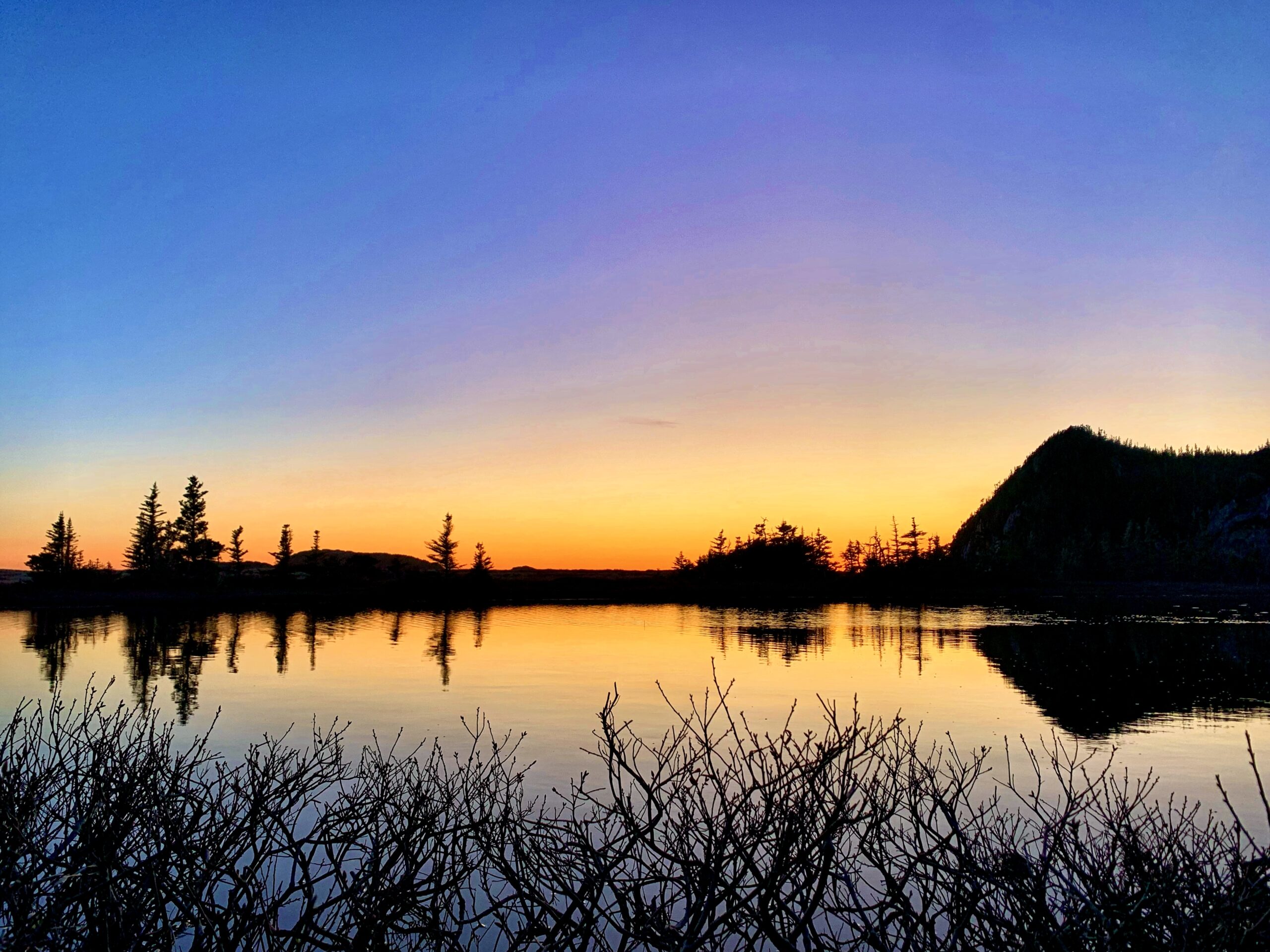 Main Gallery Display