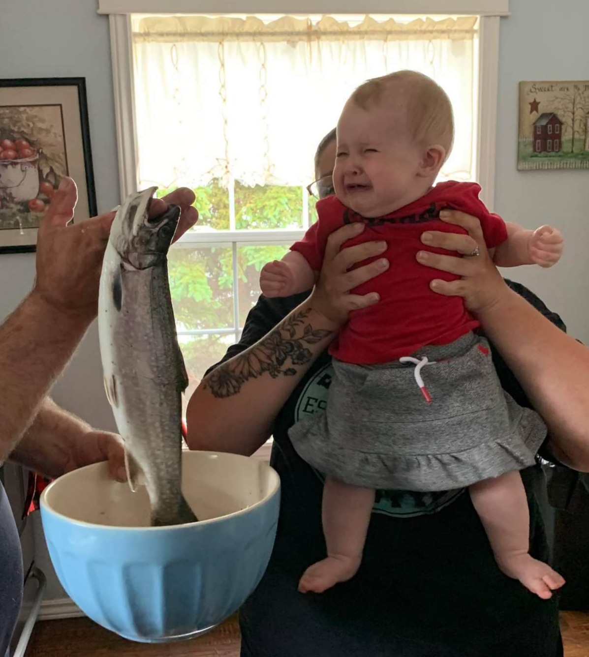 Main Gallery Display