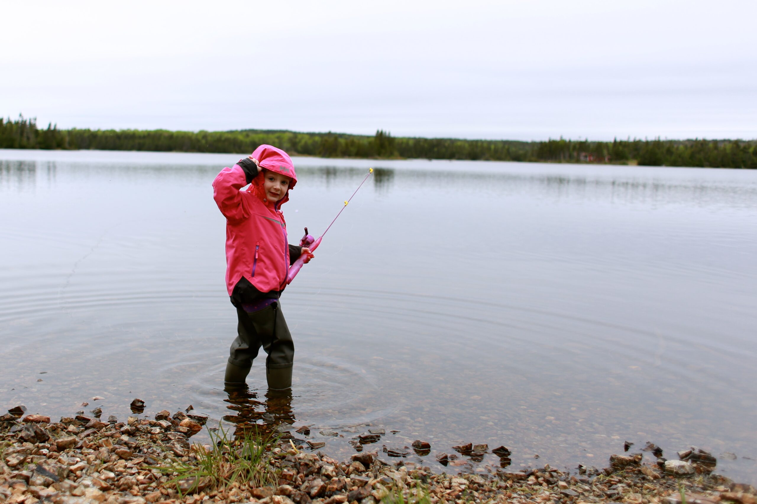 Main Gallery Display