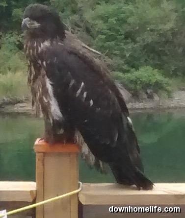 Main Gallery Display