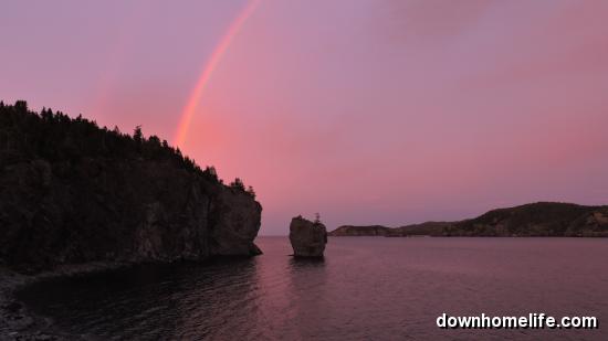 Main Gallery Display