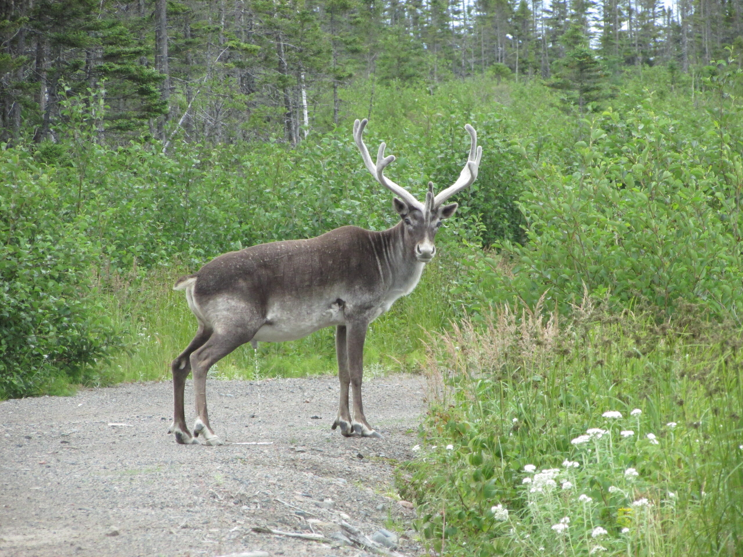 Main Gallery Display