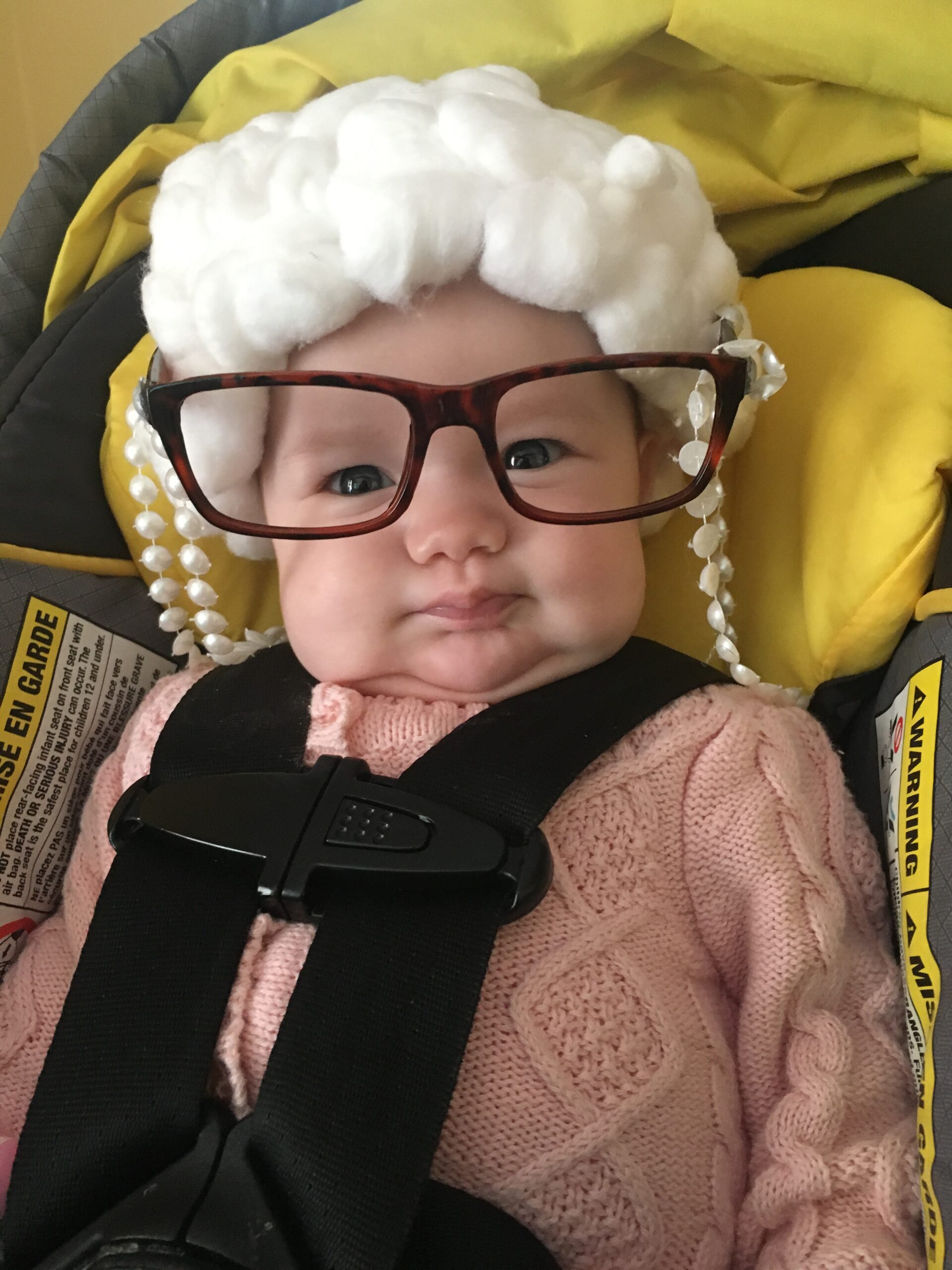 Main Gallery Display