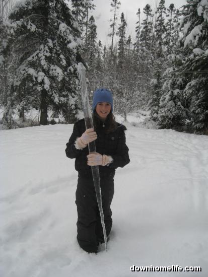 Main Gallery Display