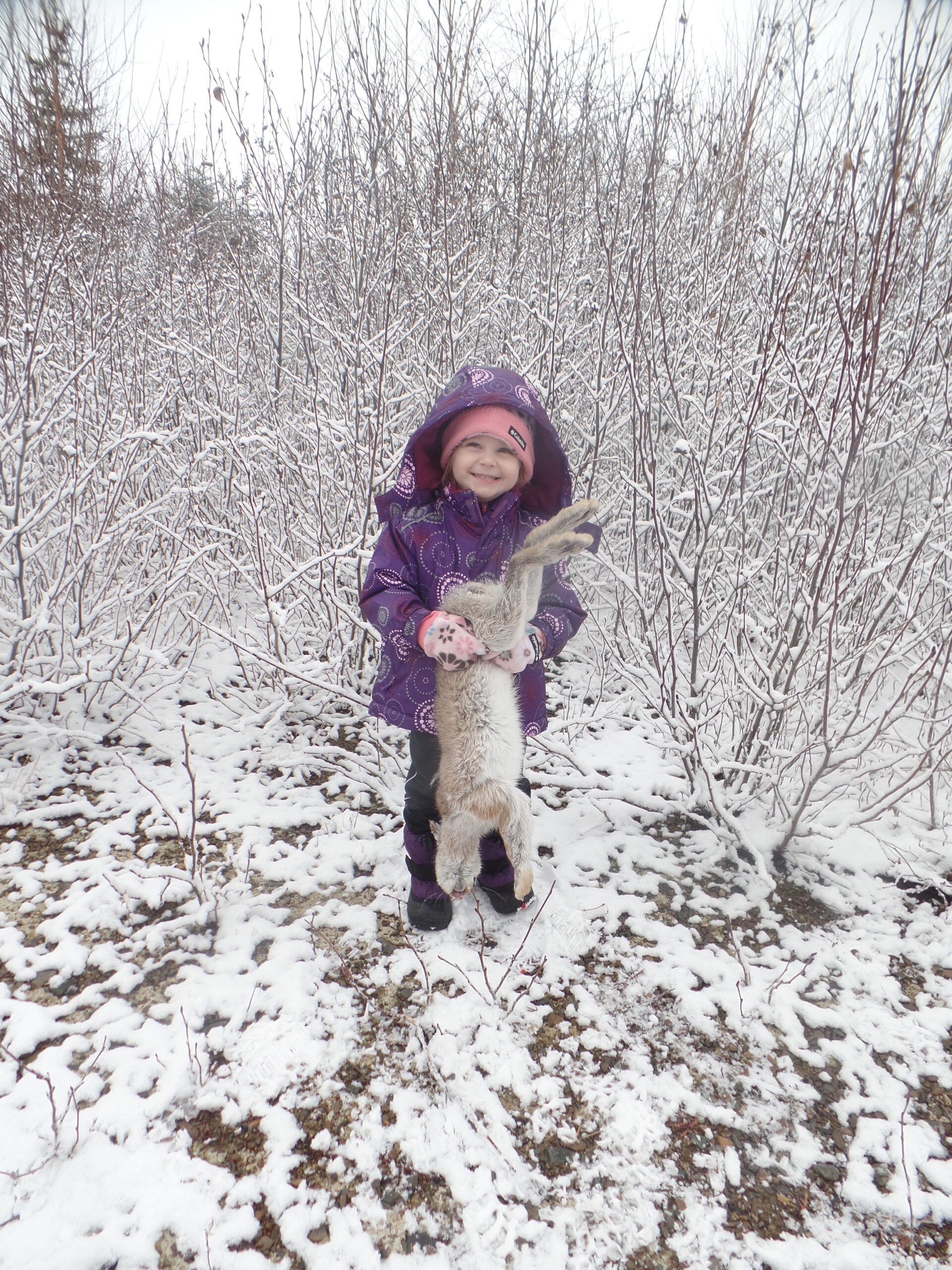 Main Gallery Display
