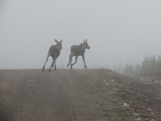 Main Gallery Display
