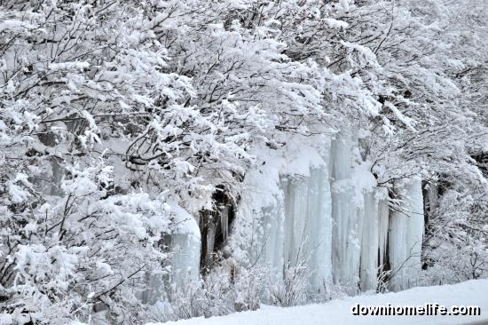 Main Gallery Display