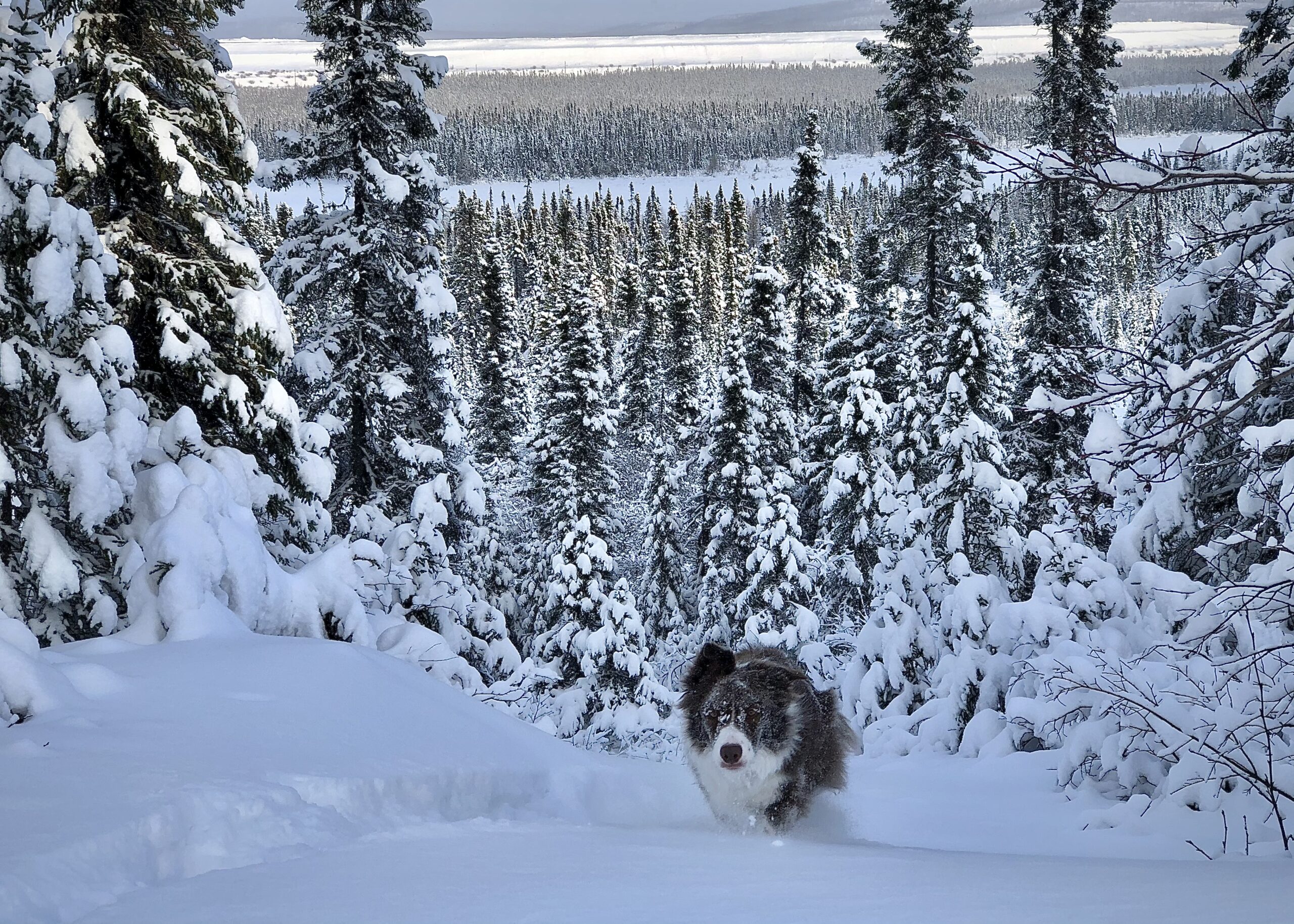 Main Gallery Display