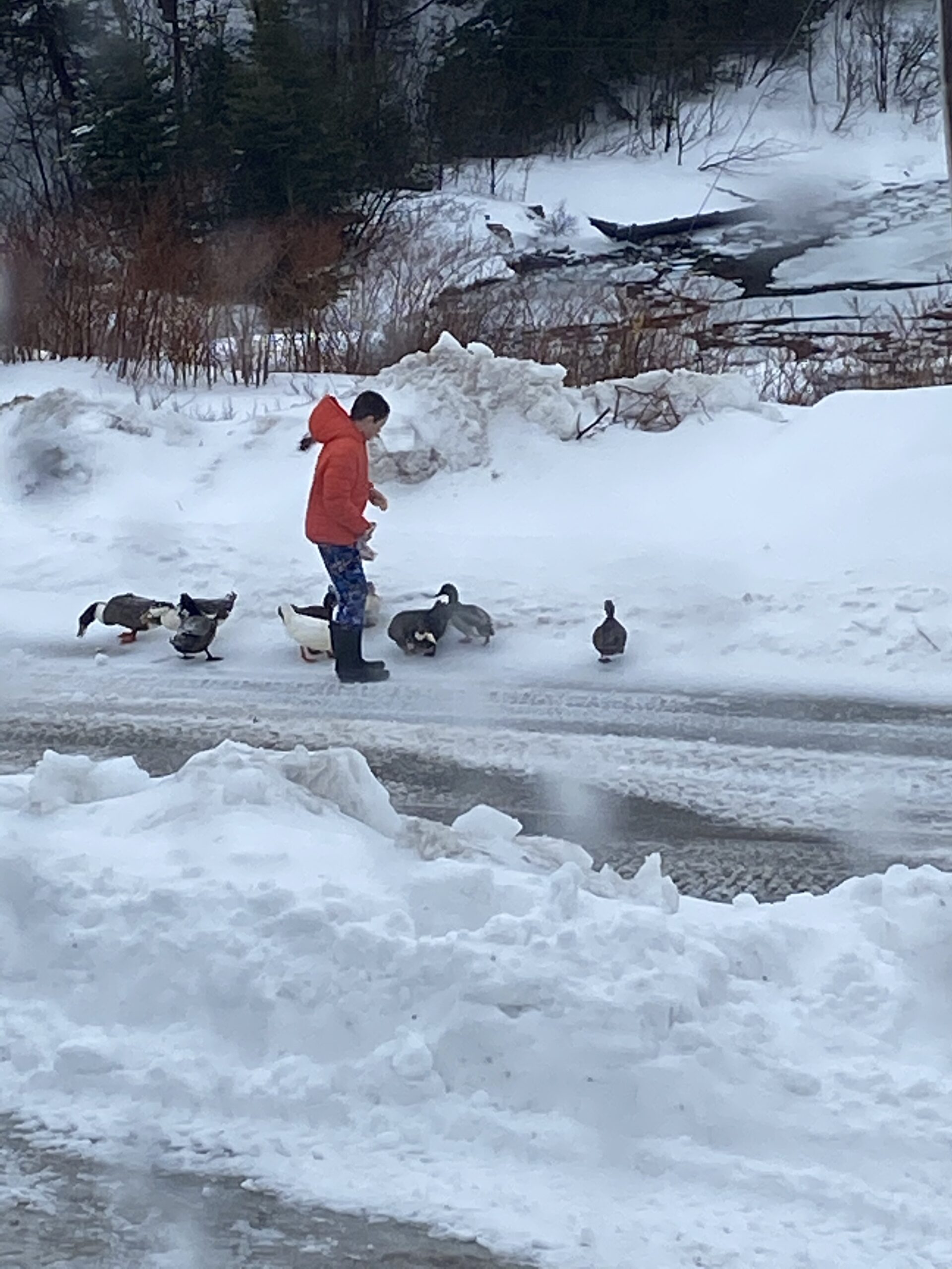 Main Gallery Display