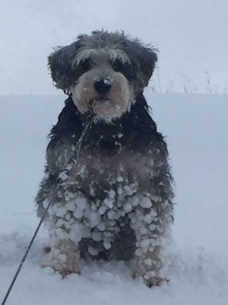 Main Gallery Display