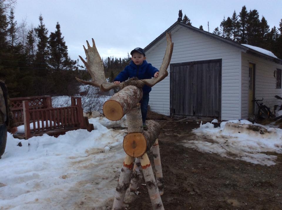 Main Gallery Display