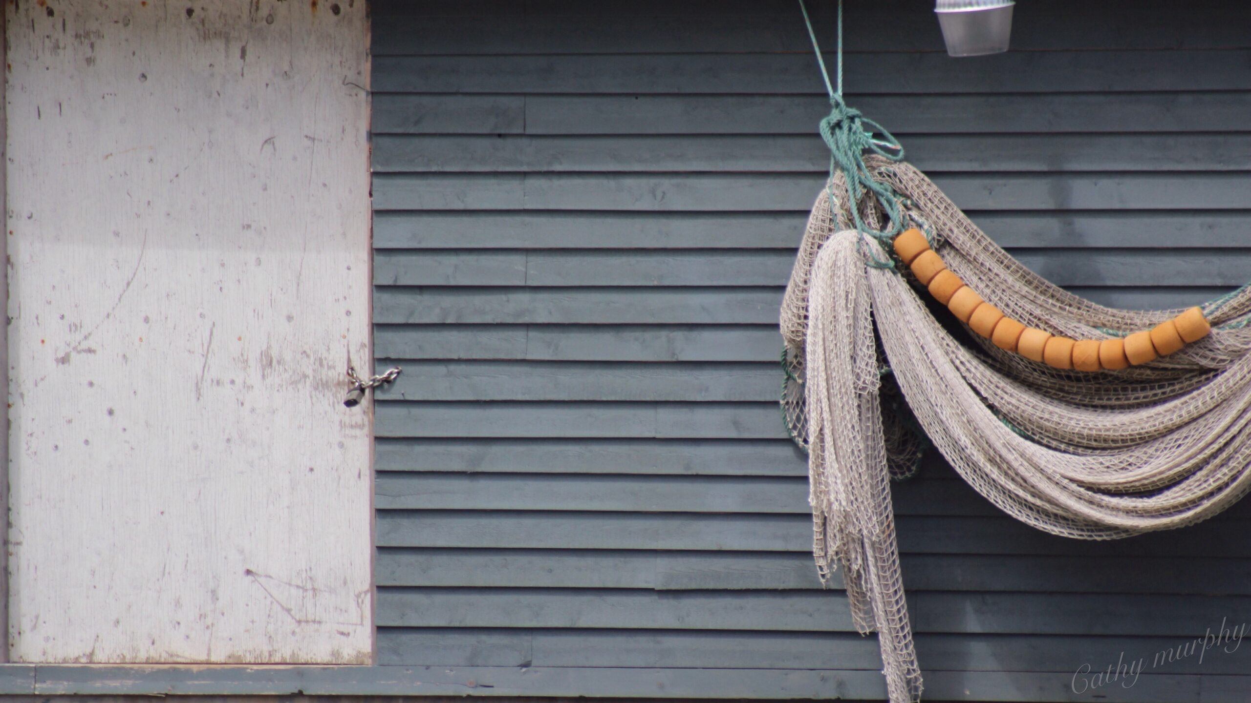 Main Gallery Display