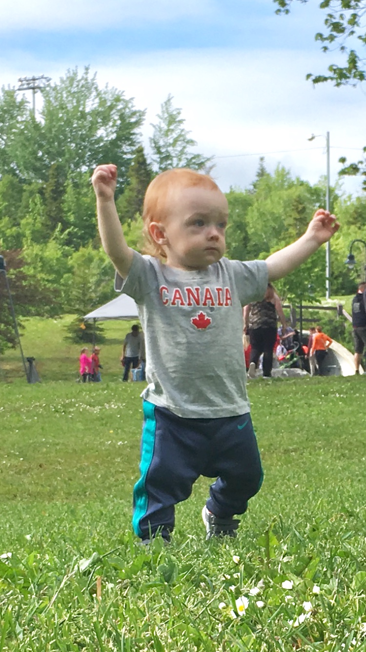 Main Gallery Display