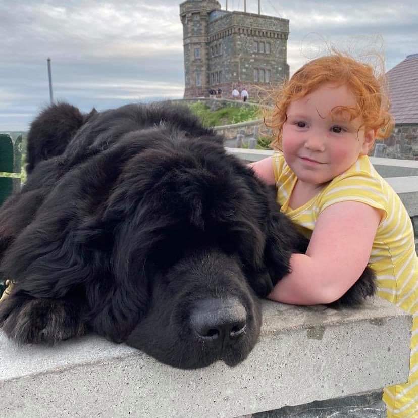 Main Gallery Display