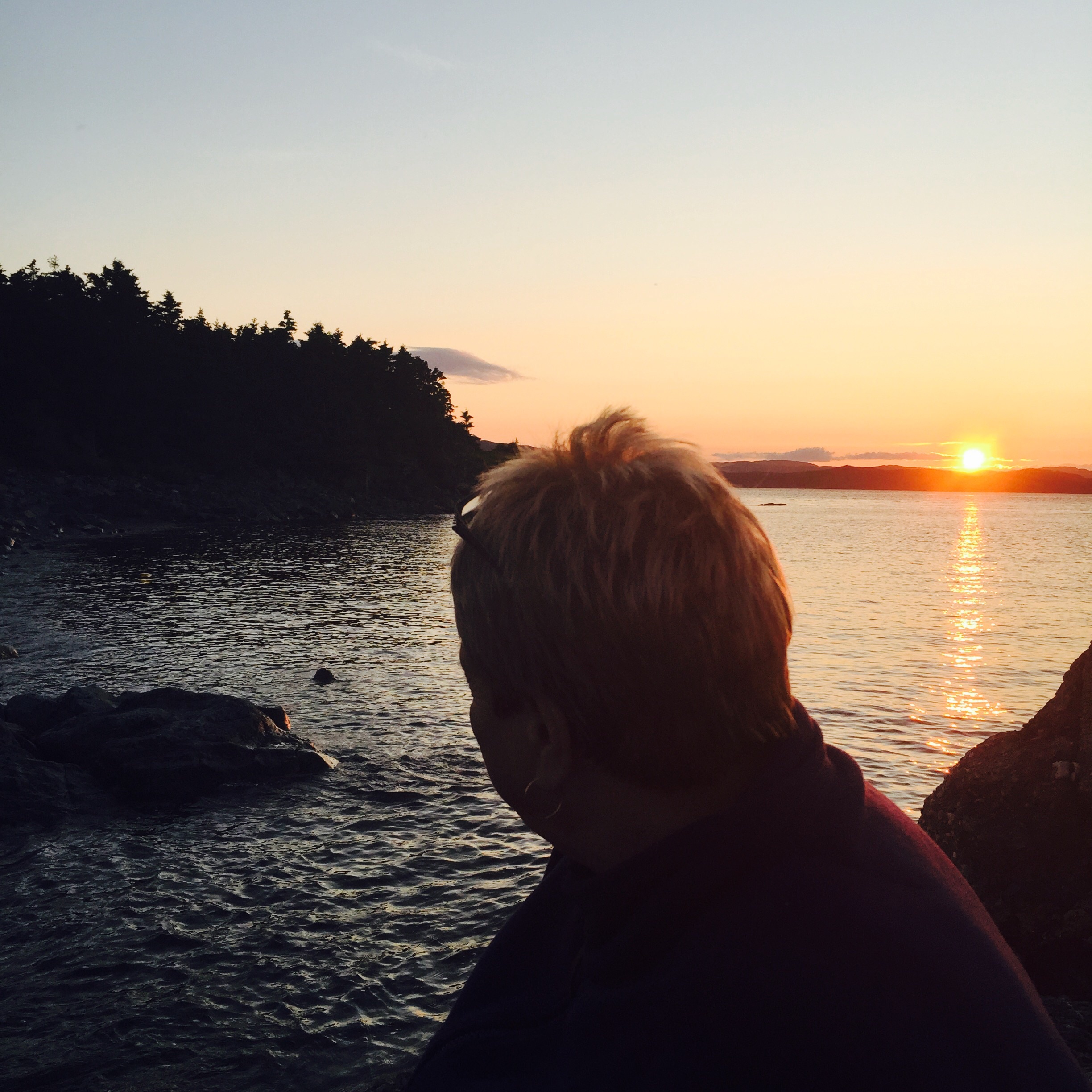 Main Gallery Display