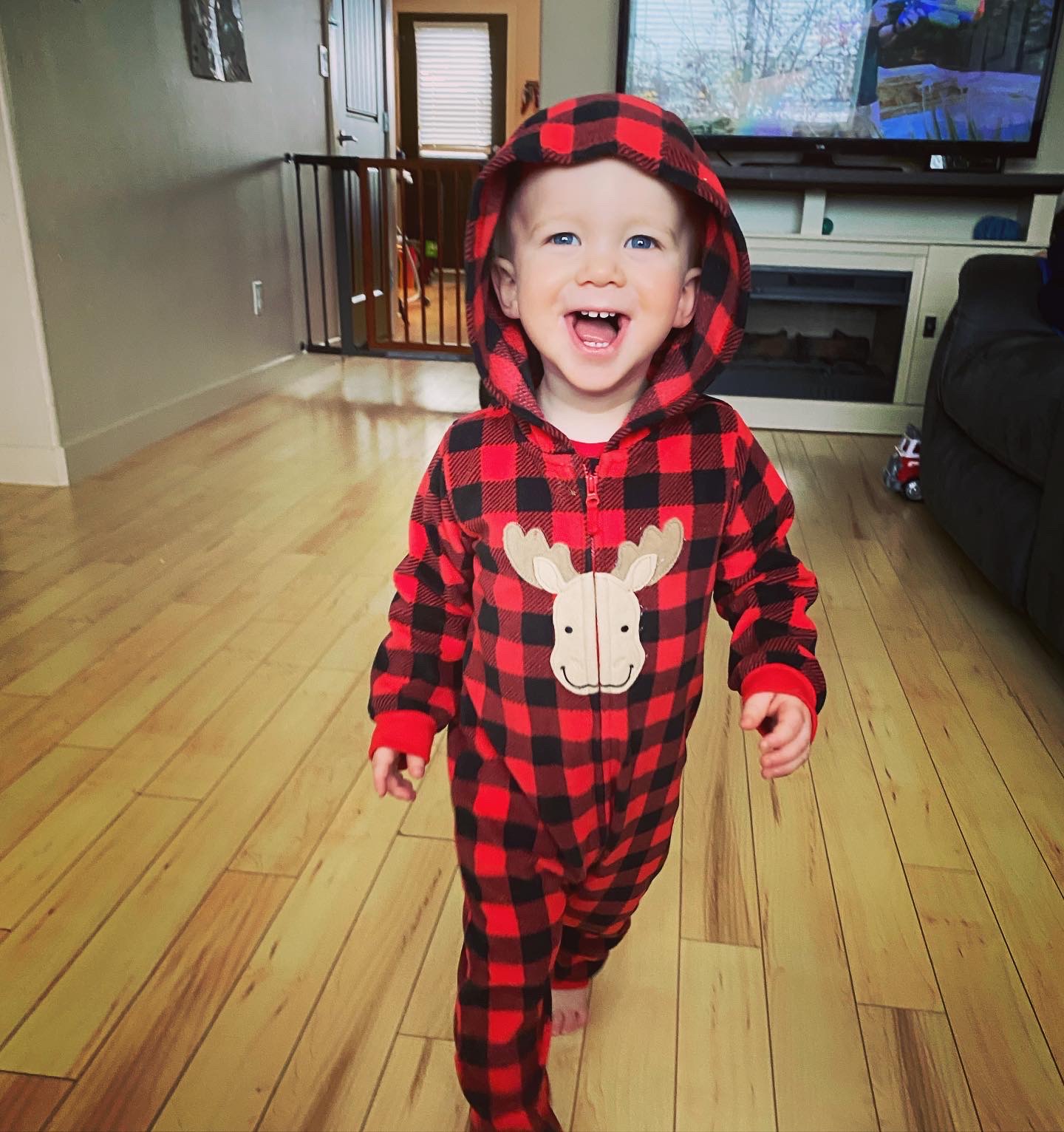 Main Gallery Display