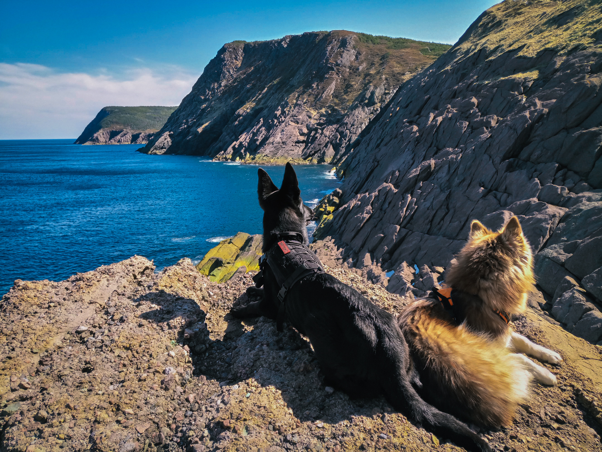 Main Gallery Display