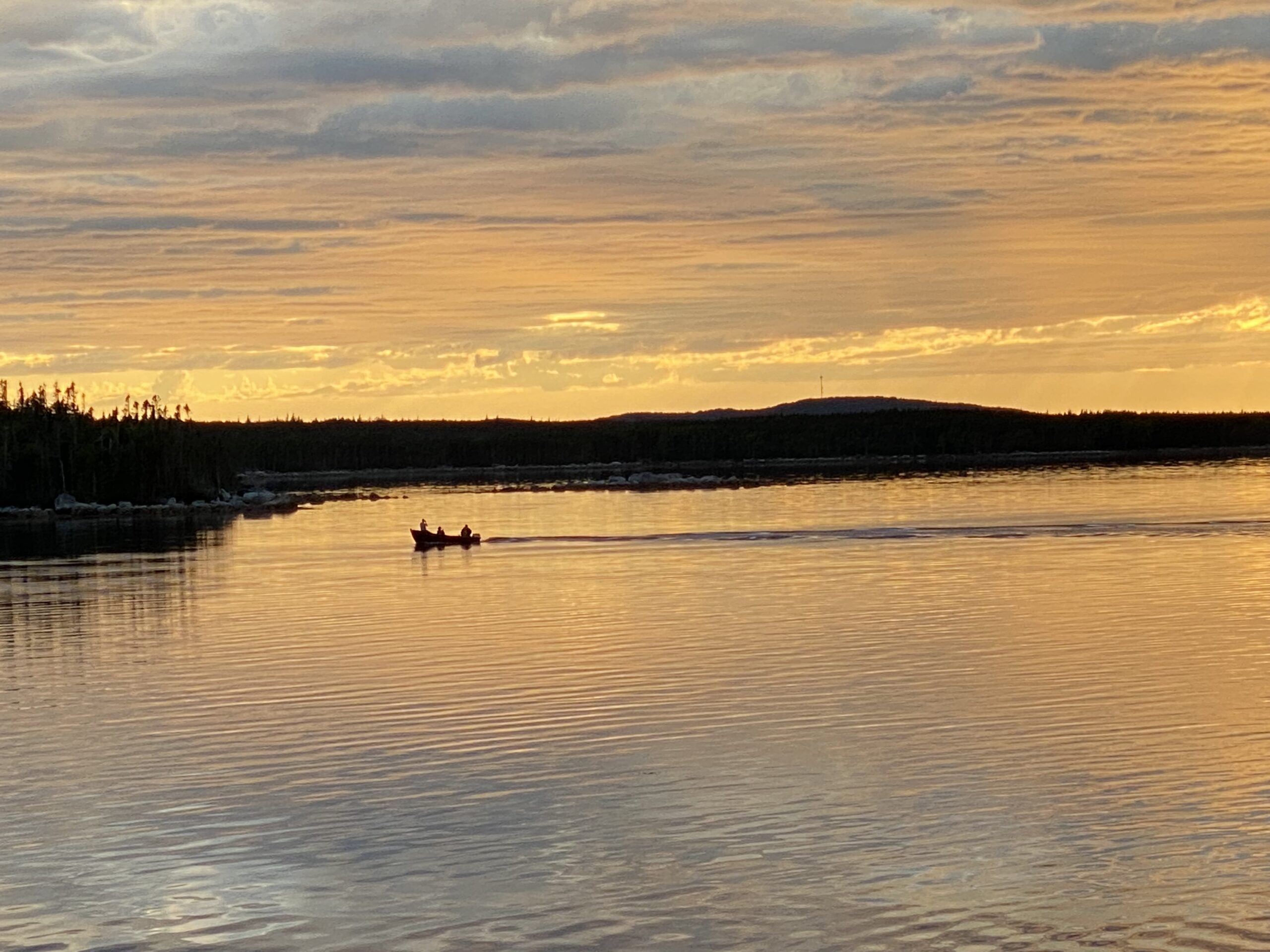 Main Gallery Display