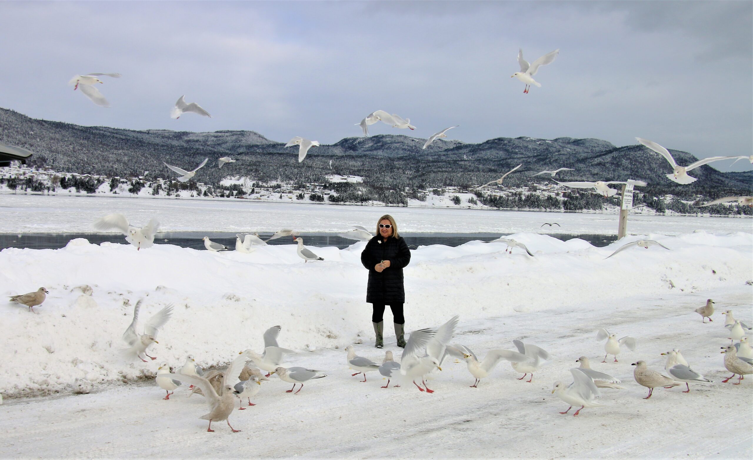 Main Gallery Display