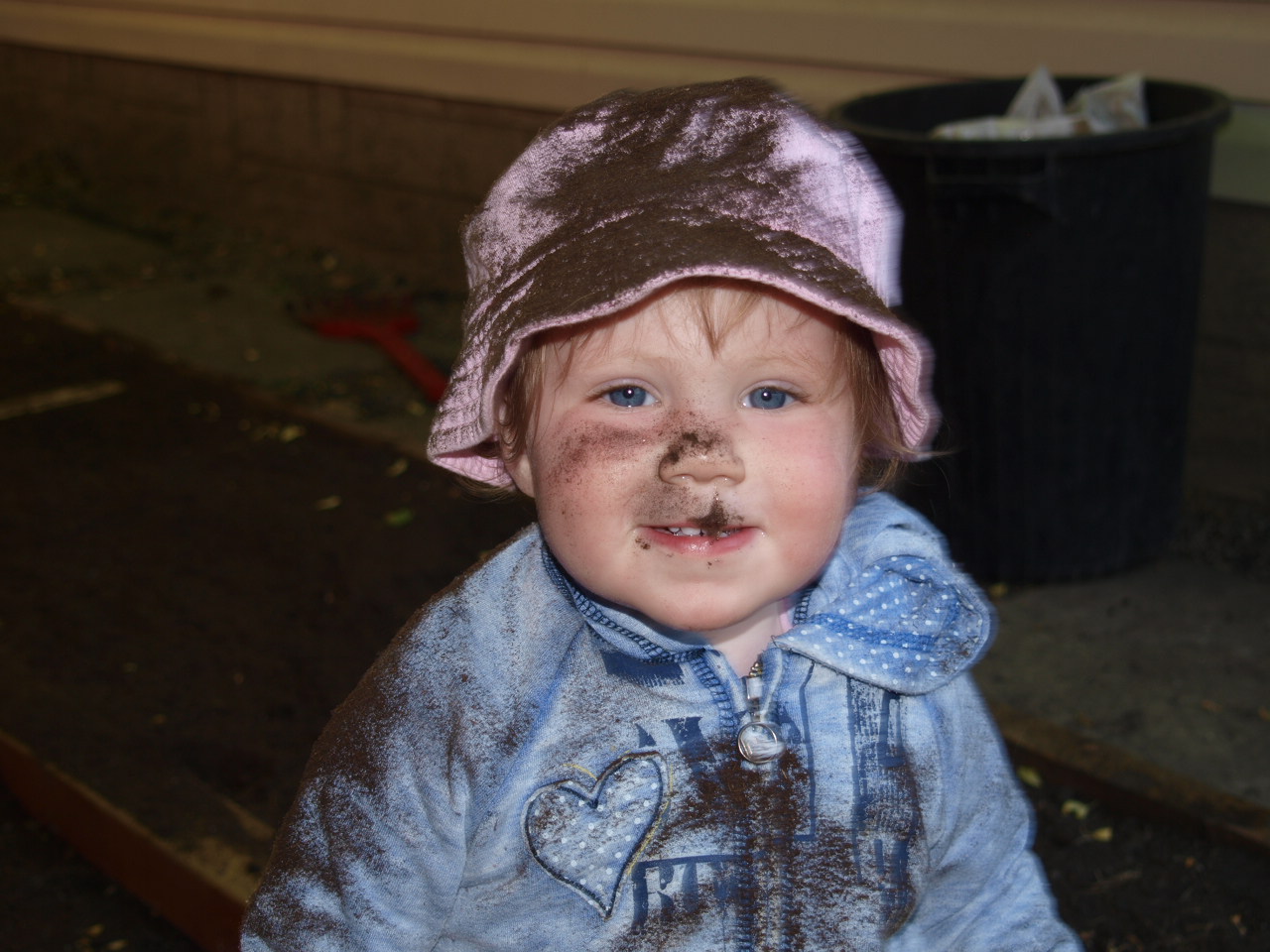 Main Gallery Display