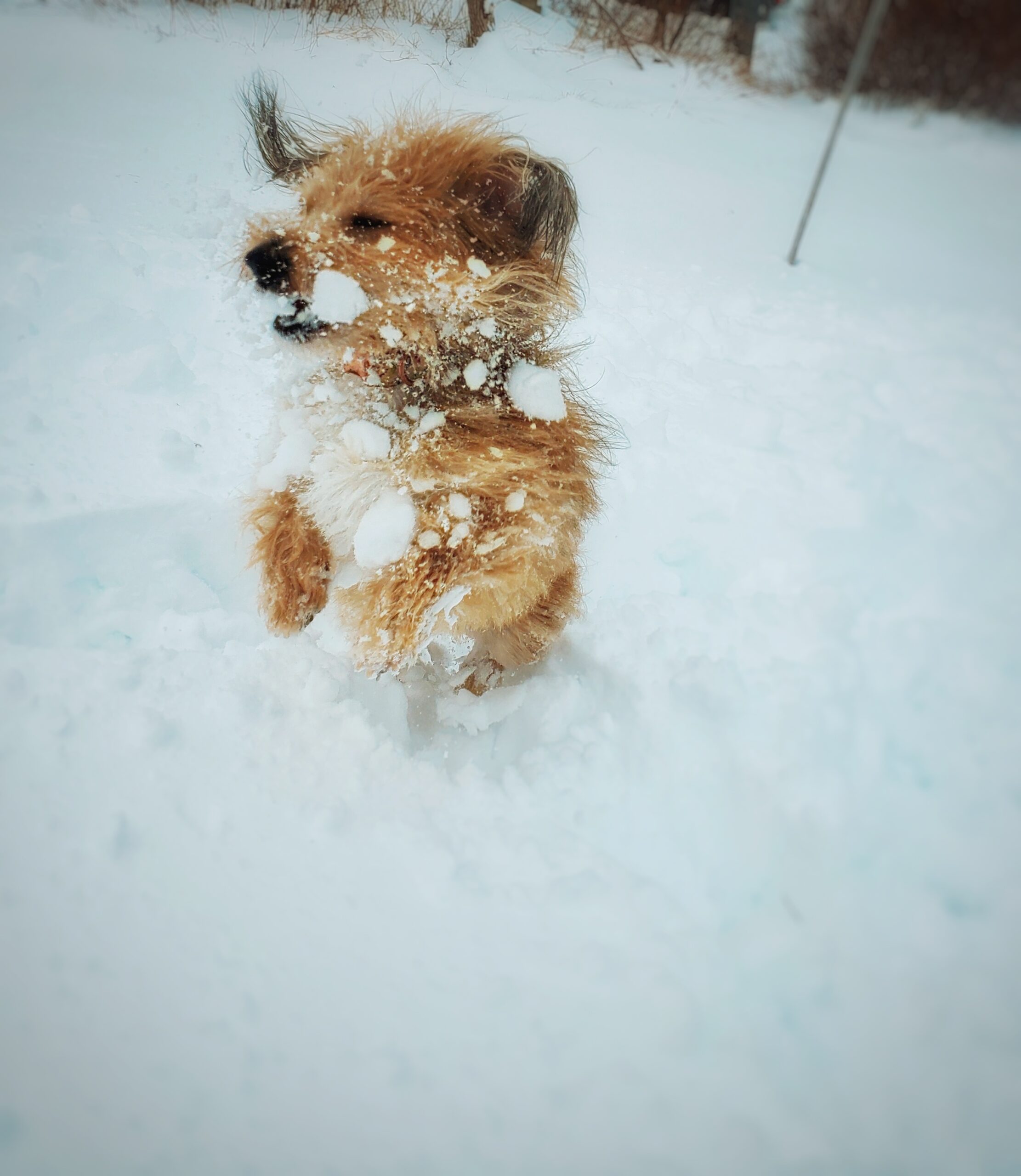 Main Gallery Display