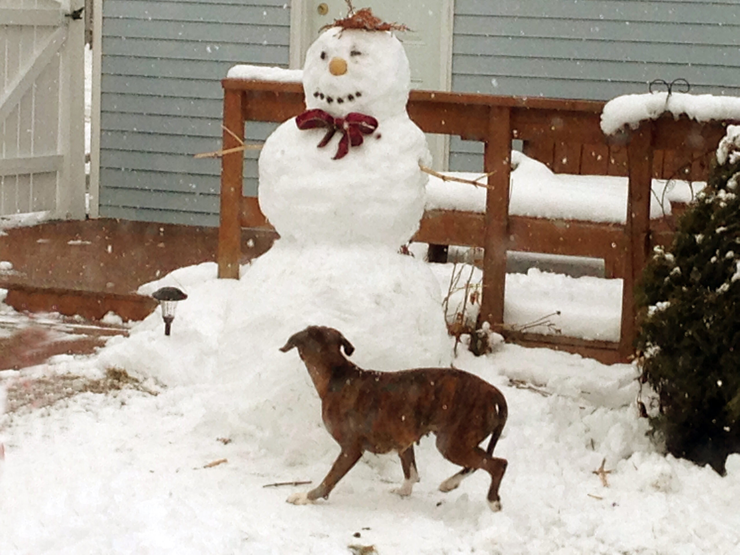 Main Gallery Display