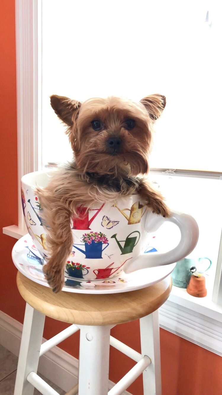 Main Gallery Display