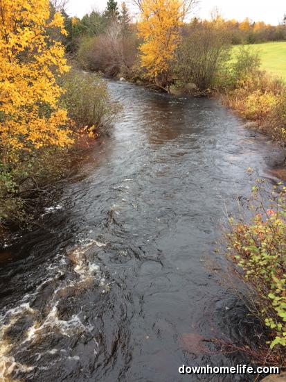 Main Gallery Display