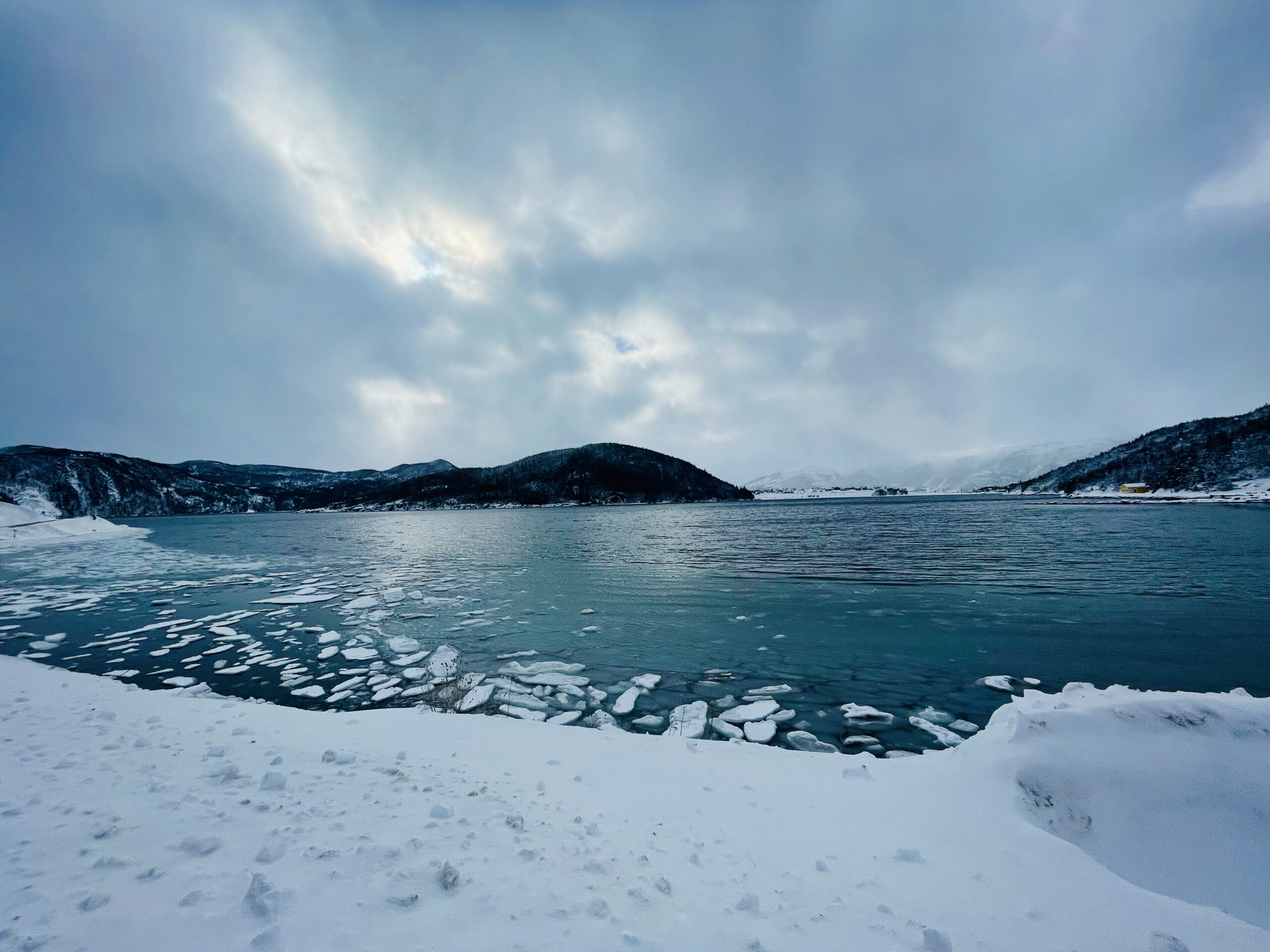Main Gallery Display
