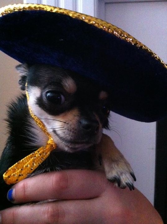 Main Gallery Display