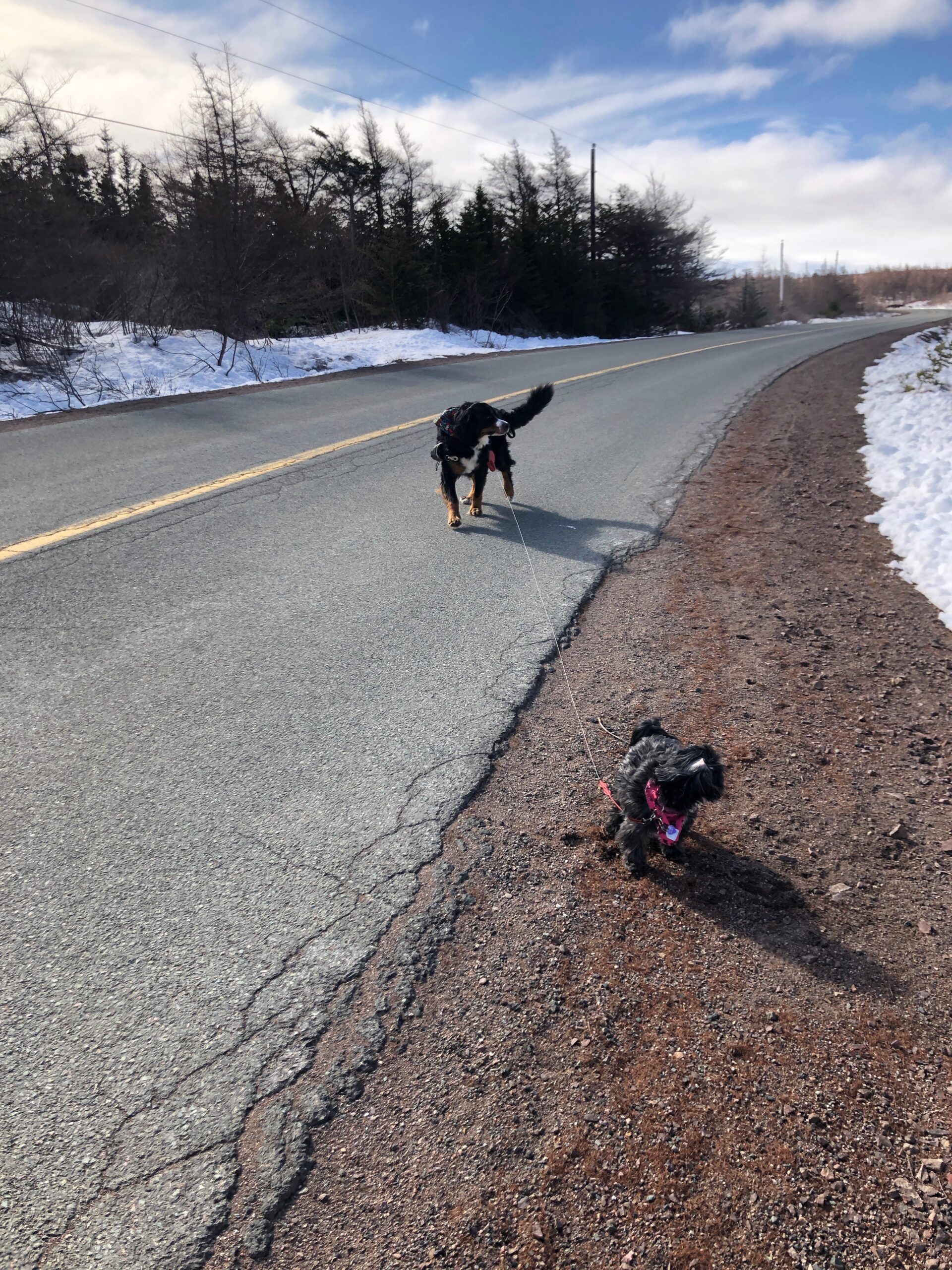 Main Gallery Display