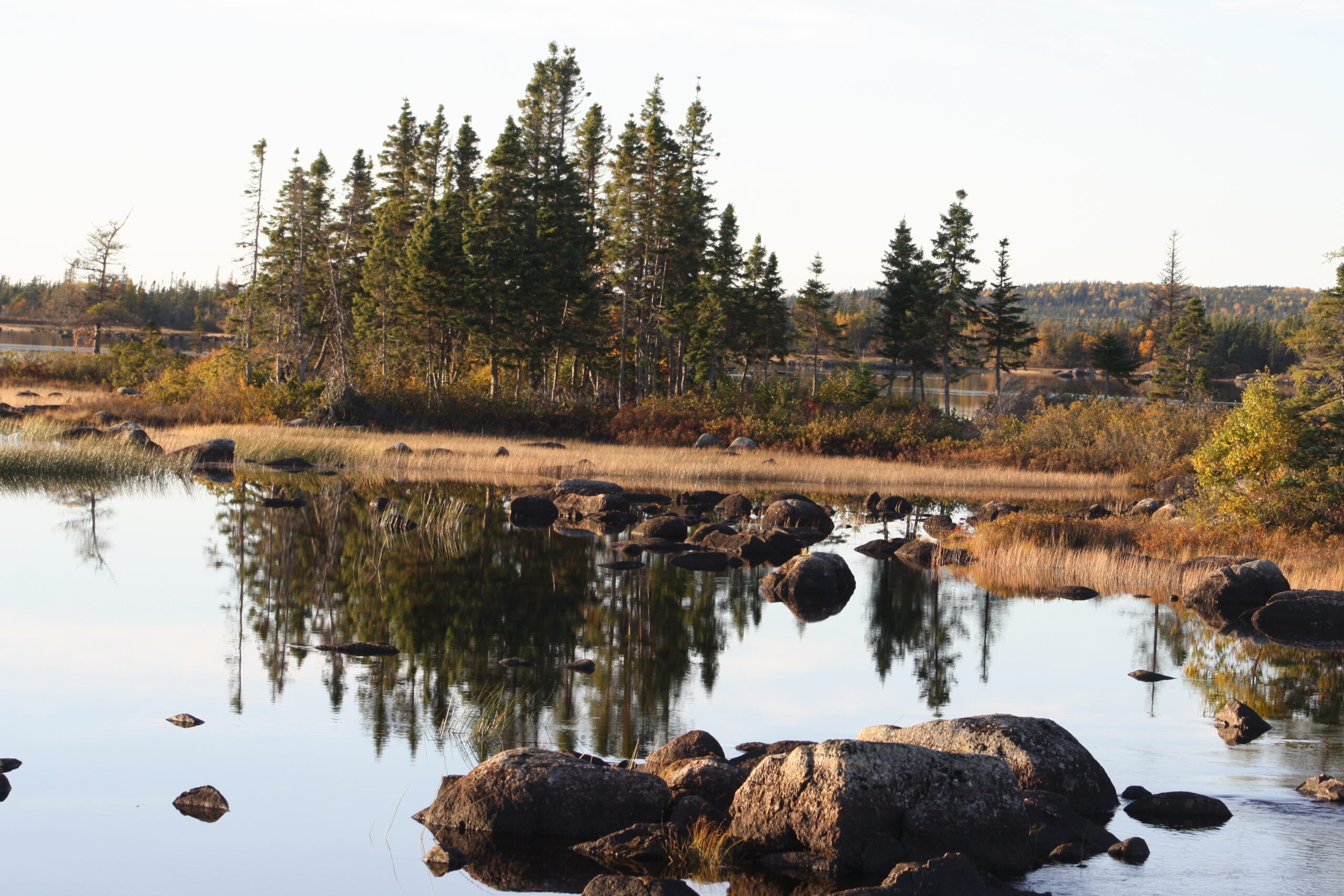 Main Gallery Display