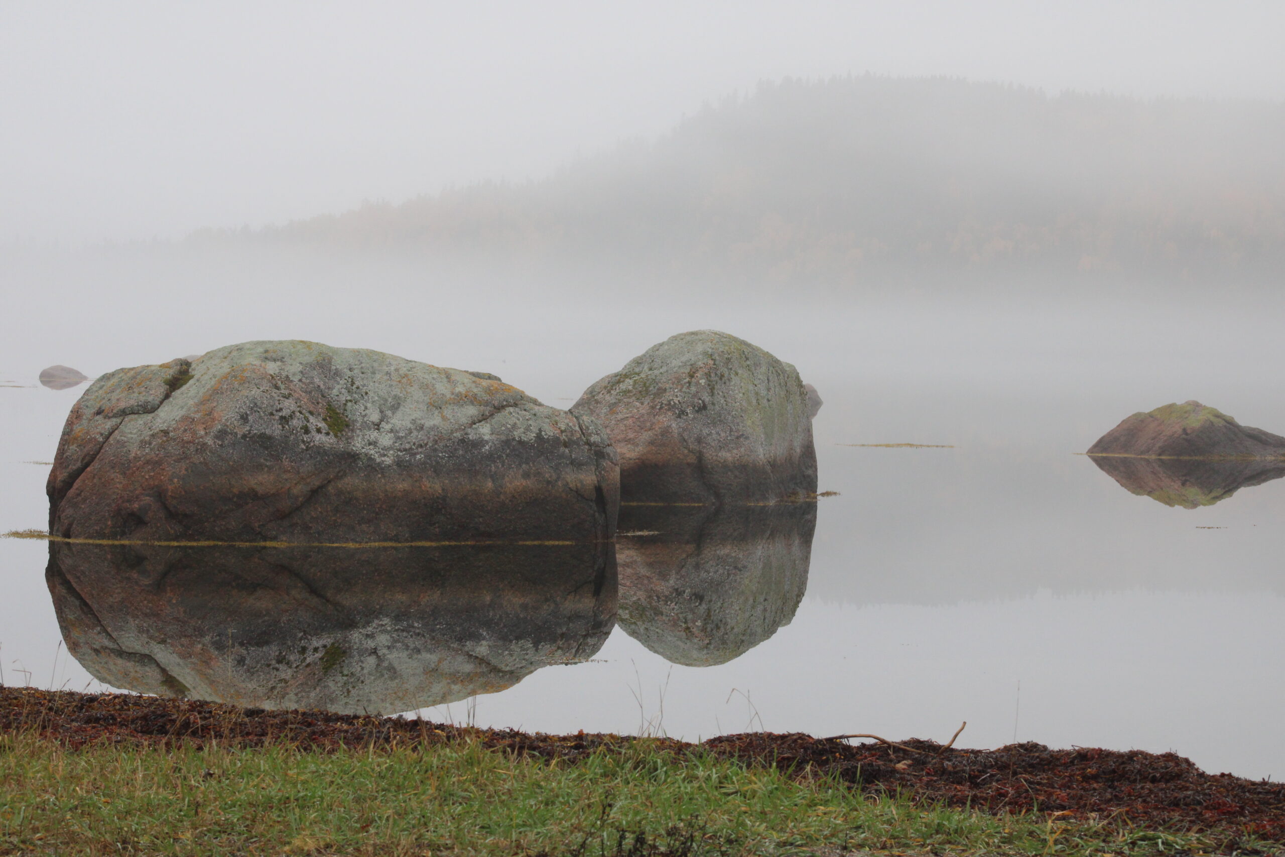 Main Gallery Display