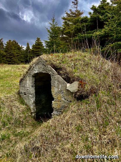 Main Gallery Display