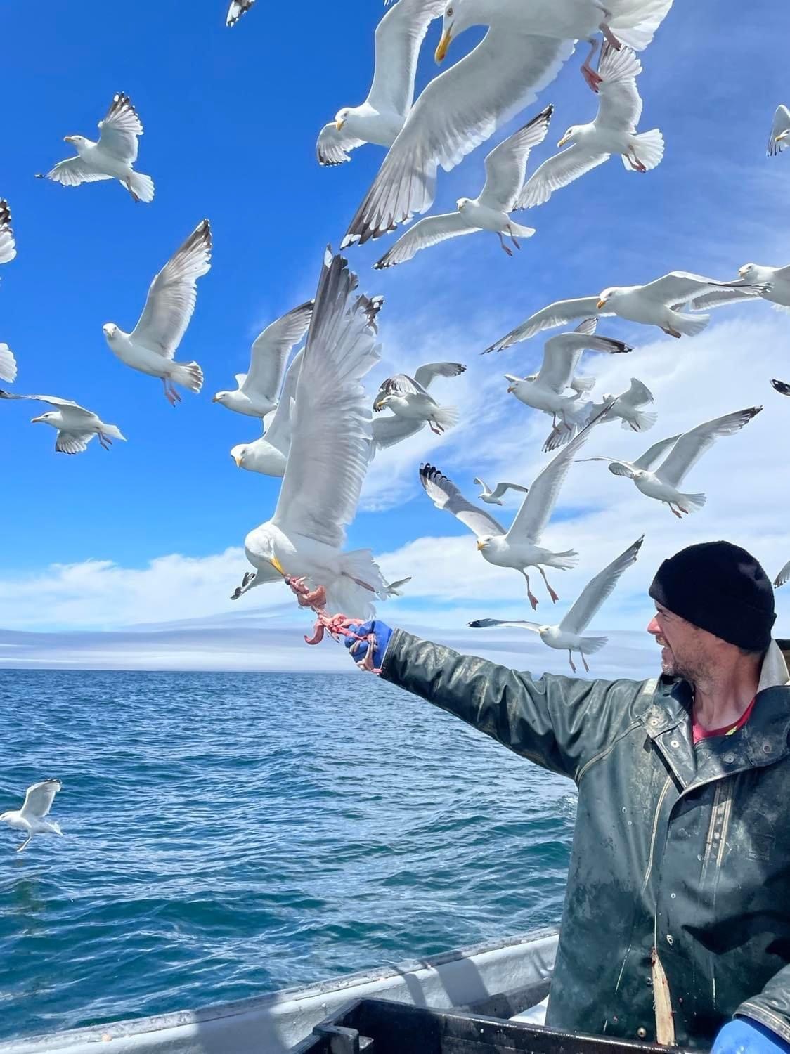 Main Gallery Display