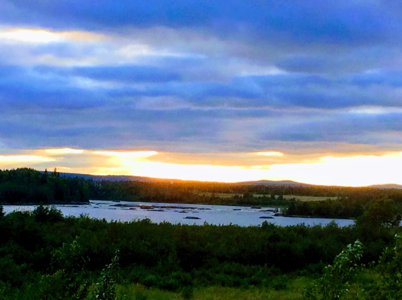 Main Gallery Display