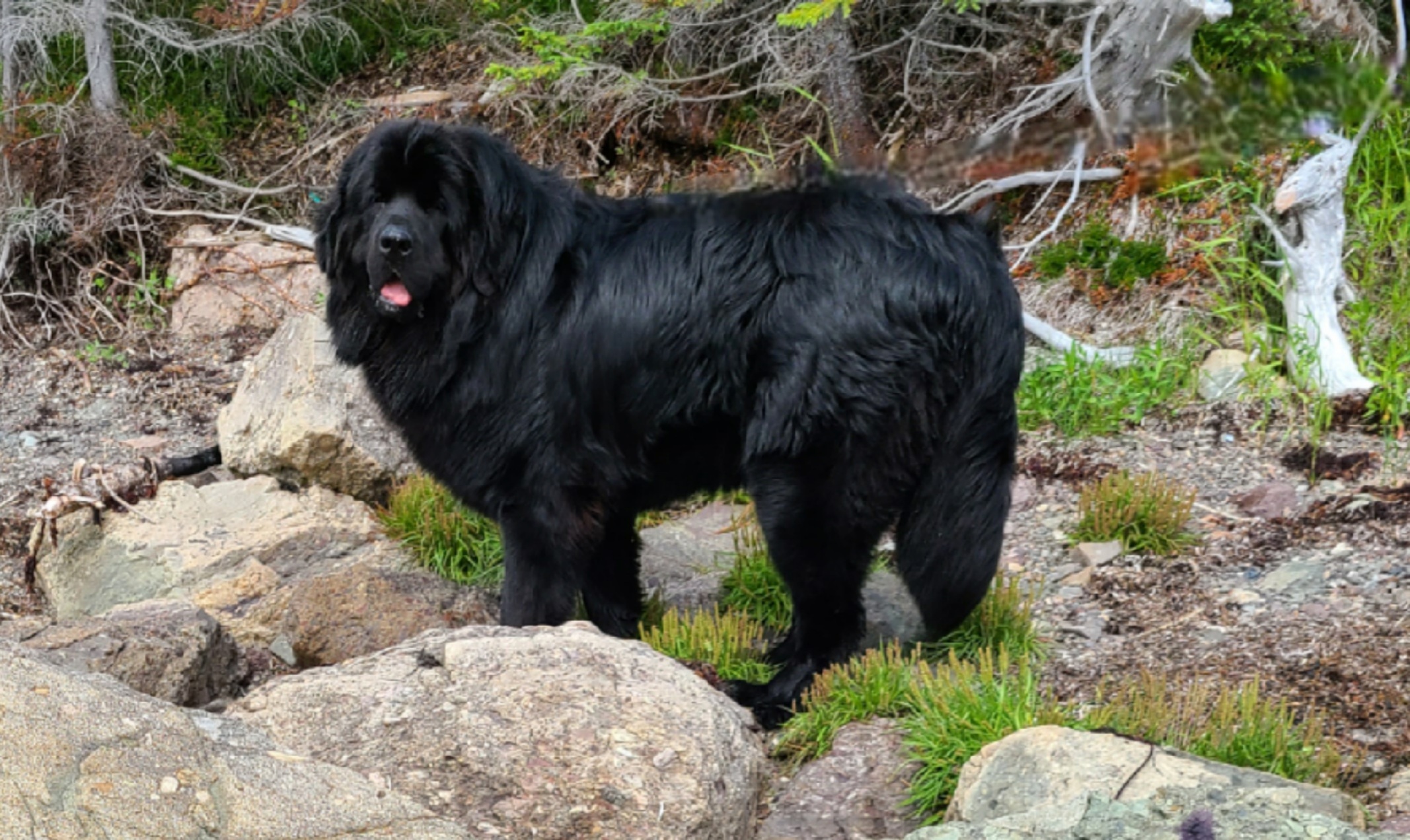 Main Gallery Display