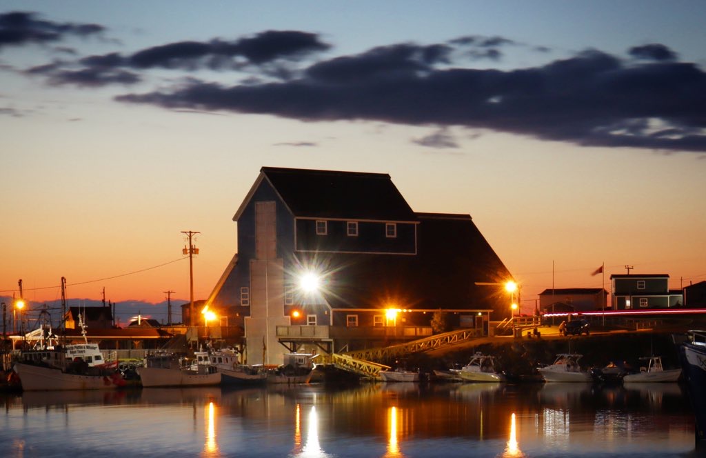 Main Gallery Display