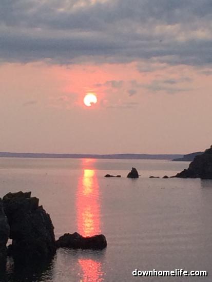 Main Gallery Display