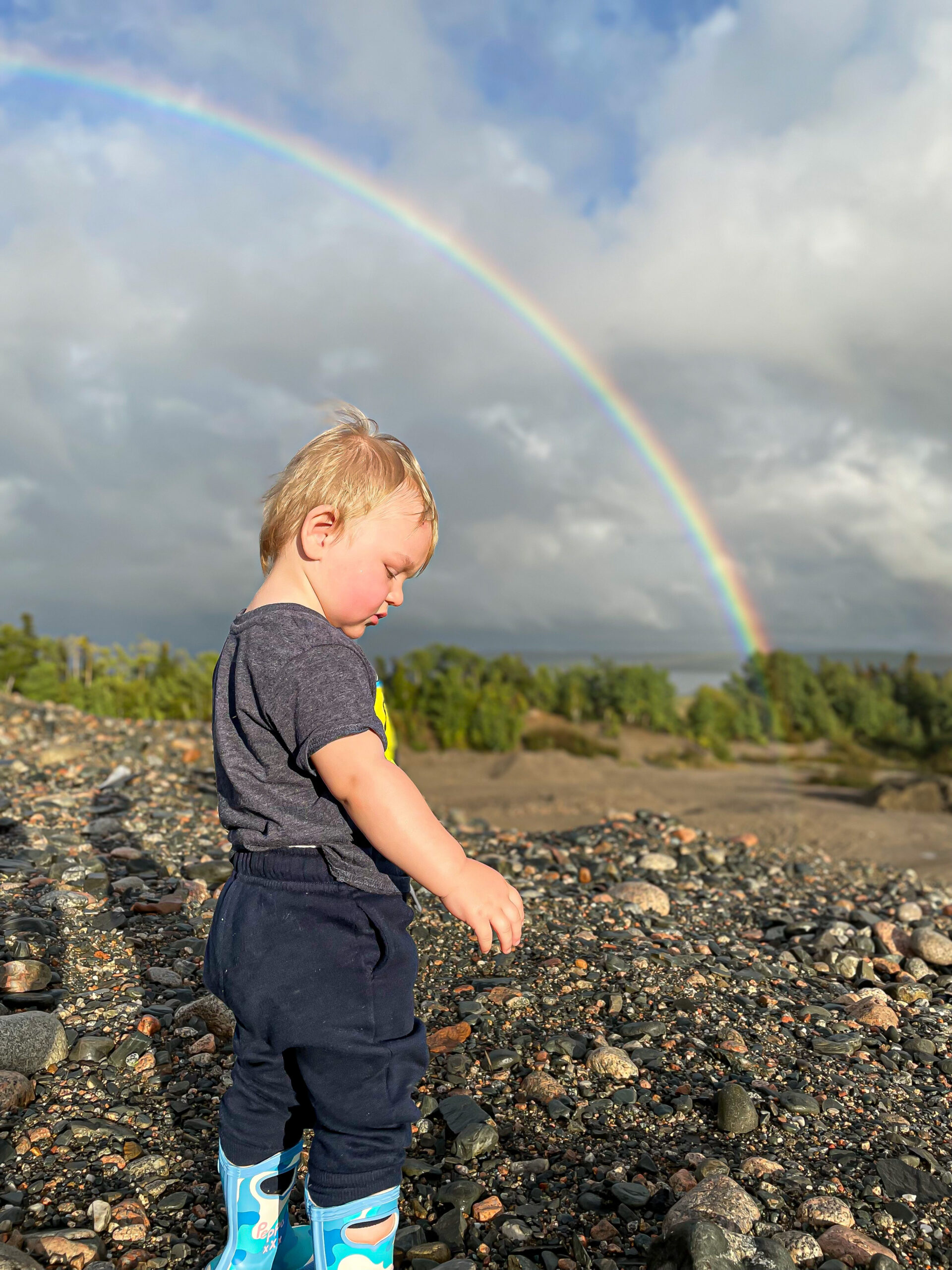 Main Gallery Display