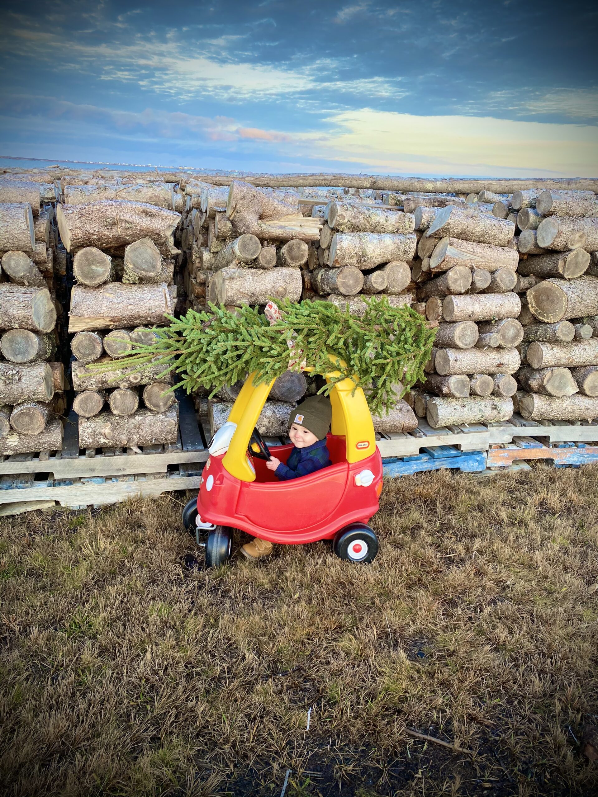 Main Gallery Display