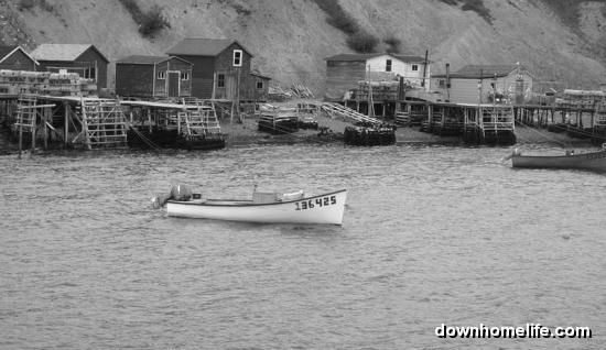 Main Gallery Display