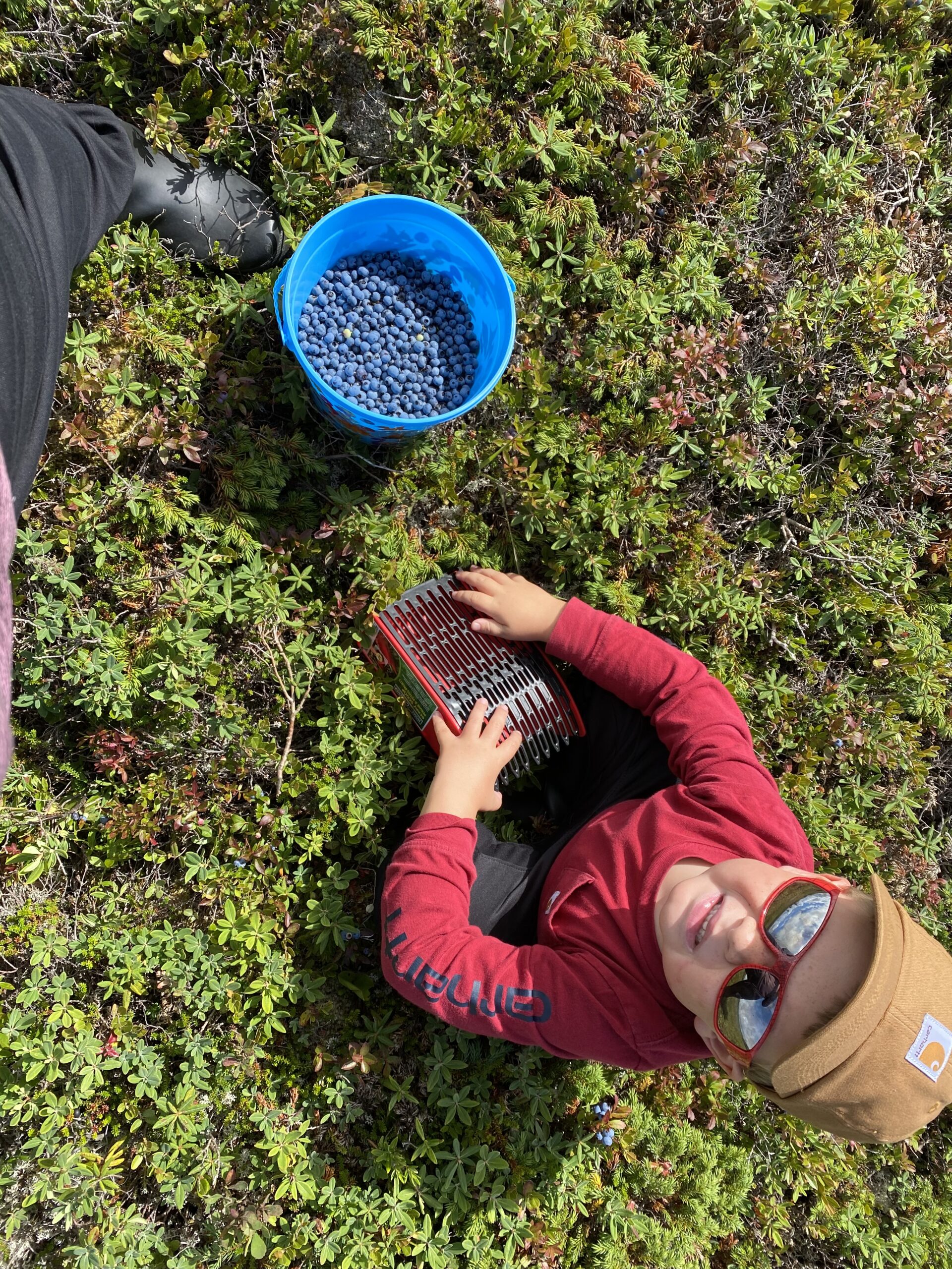Main Gallery Display