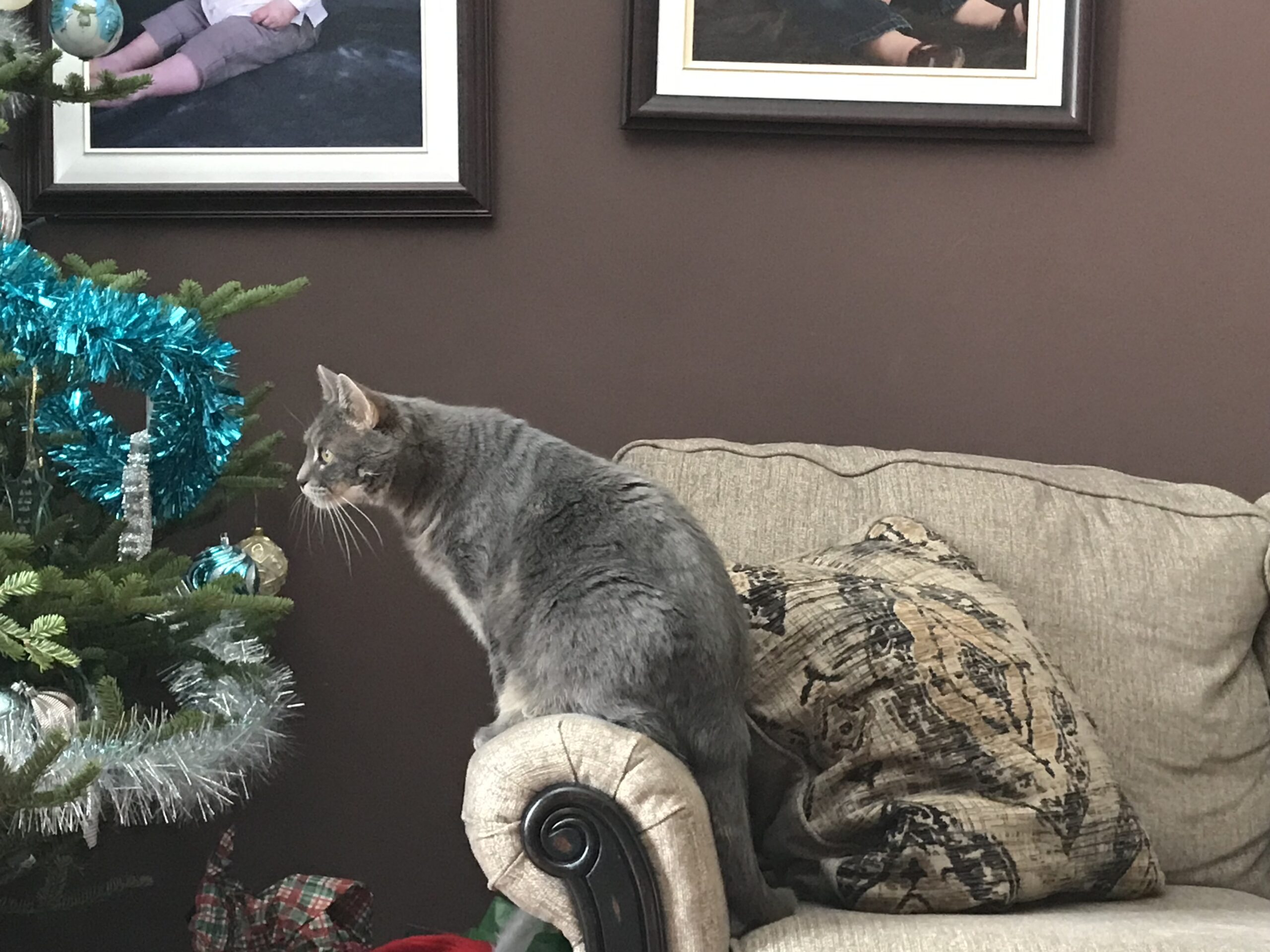 Main Gallery Display